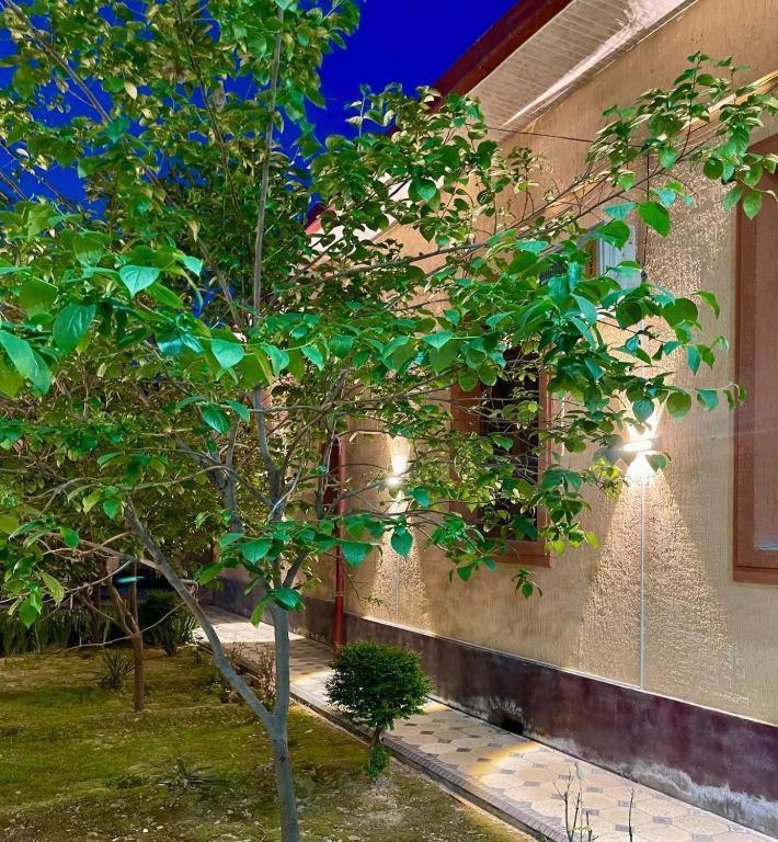 Hotel Amor Fati à Tachkent Extérieur photo